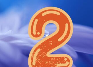 The Fortunate Few: Unlocking the Secret to Wealth and Prosperity in Your Golden Years