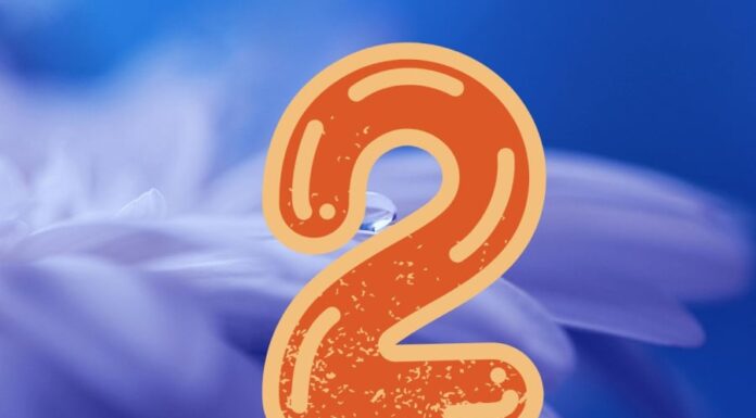 The Fortunate Few: Unlocking the Secret to Wealth and Prosperity in Your Golden Years