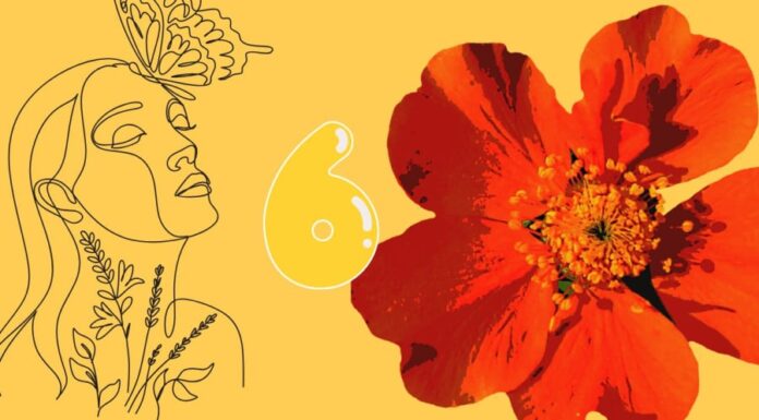 The Fortunate Few: Blessed by the Heavens, a Life of Abundance Awaits