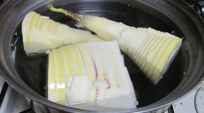 Detoxifying Fresh Bamboo Shoots: Enjoy with Peace of Mind