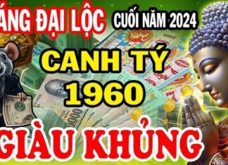 Next Week (11/11 – 11/17/2024): Rat Rises, Dragon Dodges Danger, Number 4’s Fortune