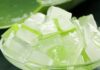 The Ultimate Guide to Preparing Aloe Vera: A Tasty, Crisp Treat to Enhance Any Dish