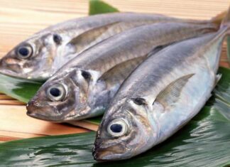 3 Superfoods for Your Child’s Well-Rounded Development