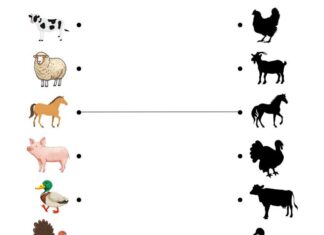 The Ultimate Guide to Animal Shadow Puzzles for Kids: Teaching Young Minds to Identify and Remember Animals with Ease