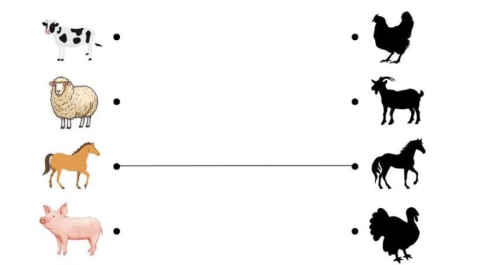 The Ultimate Guide to Animal Shadow Puzzles for Kids: Teaching Young Minds to Identify and Remember Animals with Ease