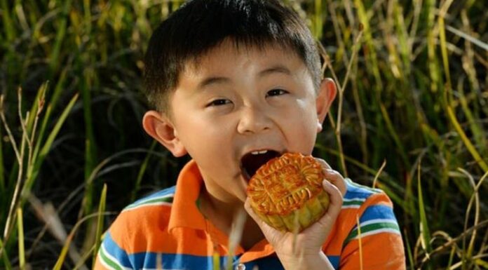 Can Children Indulge in Mooncakes?