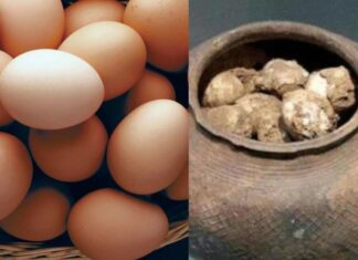 Why Do Archaeologists and Tomb Raiders Alike Tremble at the Sight of Chicken Eggs in Ancient Tombs?
