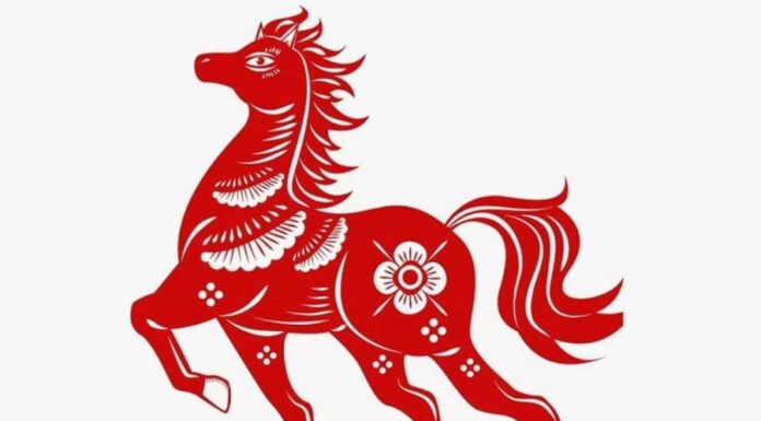 The Power of Virtue: 4 Chinese Zodiac Signs, Stay Strong in Adversity, Your Fortune Will Change for the Better From the 1st of the Lunar Month