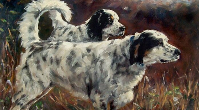 The Final 45 Days of 2024: A Life-Changing Lottery Win, Flowing Finances, and a Grand New Year’s Celebration