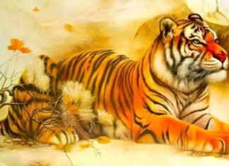 December Brings Prosperity: 3 Fortunate Ages, 2 Lucky Numbers to Win It All