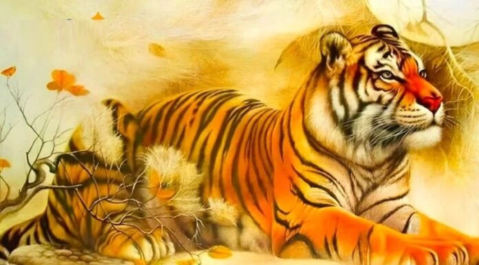 December Brings Prosperity: 3 Fortunate Ages, 2 Lucky Numbers to Win It All