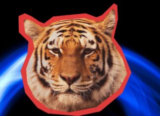 The Lucky Numbers You Need to Know for a Prosperous Lunar New Year