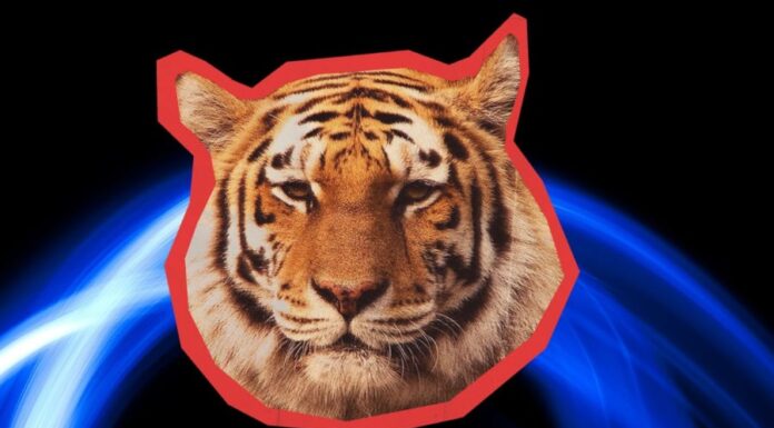 The Lucky Numbers You Need to Know for a Prosperous Lunar New Year