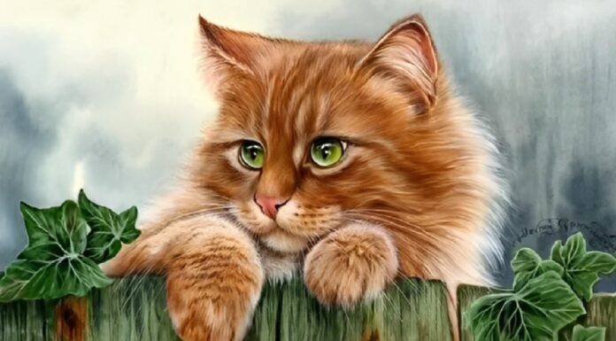 The Fortunate Few: 3 Zodiac Signs Destined for Success Before Lunar New Year 2025