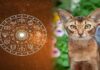 3 Zodiac Signs Whose Fortunes Will Change for the Better After the 2024 Winter Solstice
