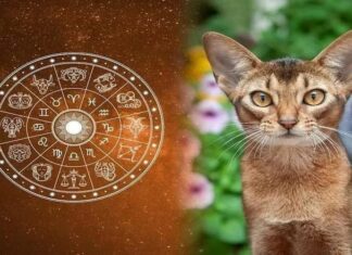 3 Zodiac Signs Whose Fortunes Will Change for the Better After the 2024 Winter Solstice