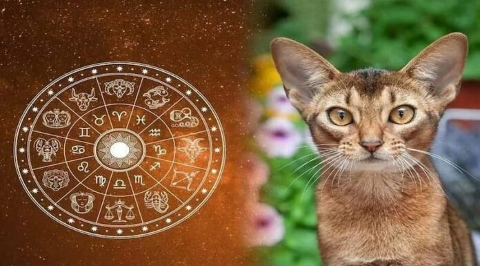 3 Zodiac Signs Whose Fortunes Will Change for the Better After the 2024 Winter Solstice