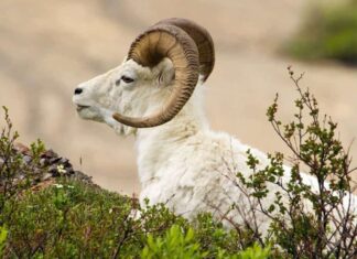 Conquer the Triple Whammy: Zodiac Signs to Step on Money in 2025, Owning Multiple Real Estate