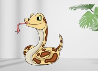 The Golden Trio: Unlocking Wealth, Luck, and Fame After 29/11 – The Power of Turning 3