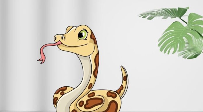 The Golden Trio: Unlocking Wealth, Luck, and Fame After 29/11 – The Power of Turning 3