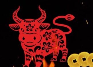 The Lucky Three: Unveiling the Secrets to Financial Success in 2025