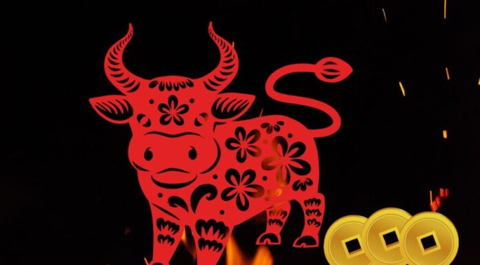 The Lucky Three: Unveiling the Secrets to Financial Success in 2025