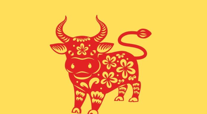 Unlocking Prosperity: Unveiling the Lucky Numbers for the 12 Zodiac Signs on 12/12