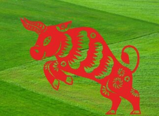 The Lucky Numbers: Unlocking Prosperity for the Zodiac Signs on November 9th