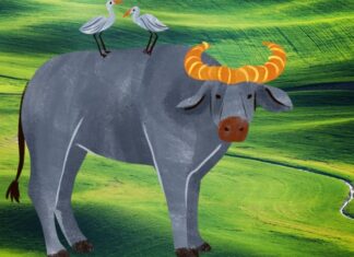 Unlocking Prosperity: Unveiling the Lucky Numbers for the Zodiac Signs on December 19th