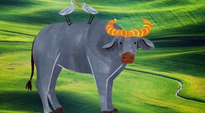 Unlocking Prosperity: Unveiling the Lucky Numbers for the Zodiac Signs on December 19th