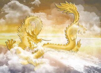 Monday Motivation: Lucky Steps, Lucky Breaks