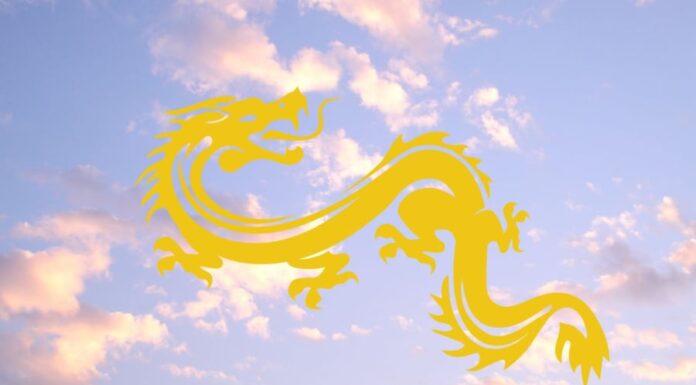 Unlocking Prosperity: Unveiling the Lucky Numbers for the Zodiac Signs on November 25th