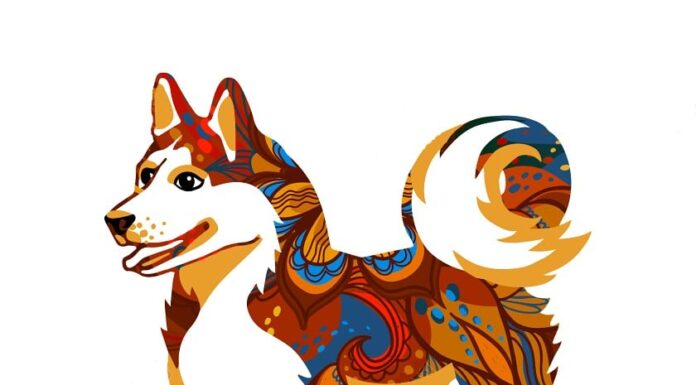 The 3 Luckiest Chinese Zodiac Signs: Longevity, Wealth and Prosperity