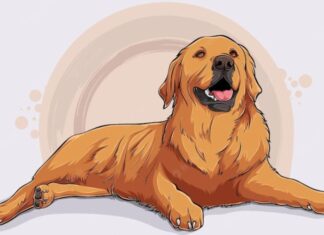 The Year 2025: Heaven-Sent Fortune Brings Wealth and Prosperity Home