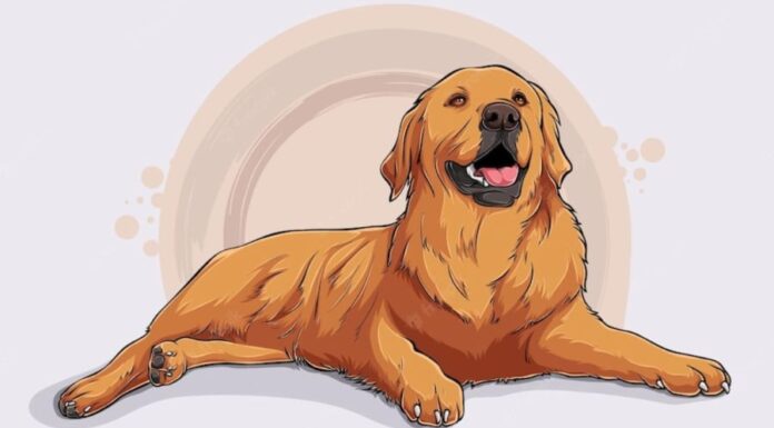 The Year 2025: Heaven-Sent Fortune Brings Wealth and Prosperity Home