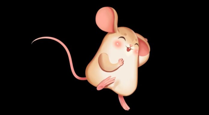 The Lucky Numbers: 12 Chinese Zodiac Signs to Rise Above and Prosper