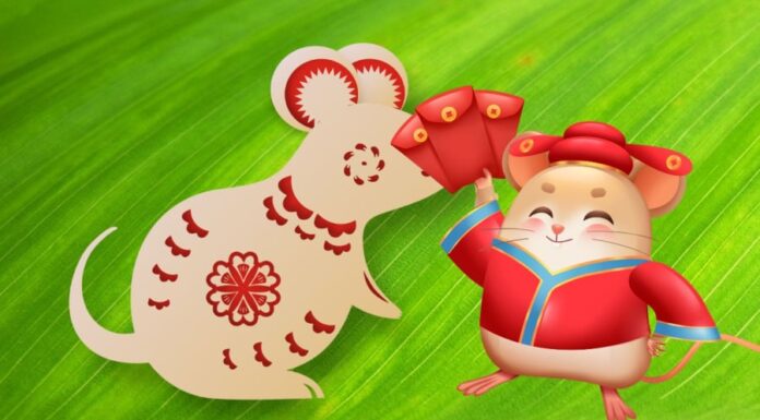 The Stars Align: Unveiling the Lucky Numbers for a Prosperous New Chapter