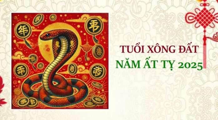What Are the Best Ages for Each of the 12 Zodiac Animals to Perform the Auspicious New Year Custom of “xông đất” in the Year of the Snake, 2025?