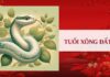 The Feng Shui Master Unveils: The 3 Most Auspicious Ages for ‘Xông Đất’ and Grand Opening in the Year of the Snake, 2025