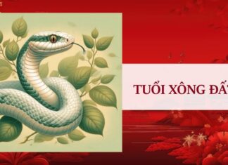 The Feng Shui Master Unveils: The 3 Most Auspicious Ages for ‘Xông Đất’ and Grand Opening in the Year of the Snake, 2025