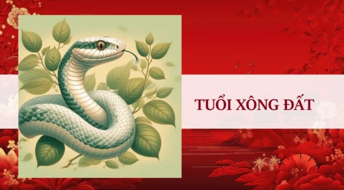 The Feng Shui Master Unveils: The 3 Most Auspicious Ages for ‘Xông Đất’ and Grand Opening in the Year of the Snake, 2025