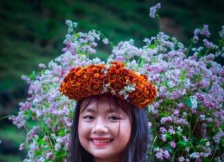 The City Slickers: When Mountain Girls Go Glam, Leaving Netizens Disappointed