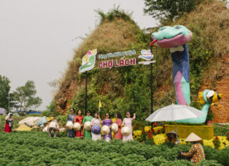 The Lucky Charm: Snake Check-ins in Ben Tre