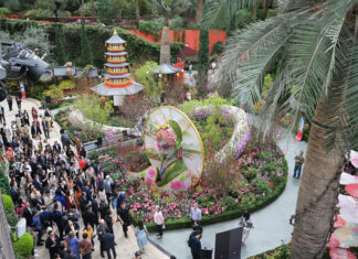 The Festive Air of Lunar New Year Preparations in Asian Countries