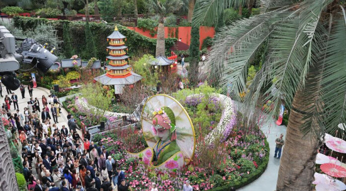 The Festive Air of Lunar New Year Preparations in Asian Countries