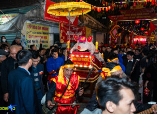 The Midnight Pig Parade: A Unique Tradition for Fortune and Luck
