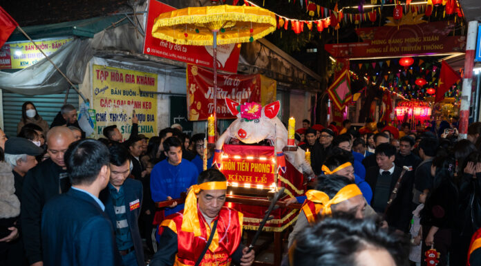 The Midnight Pig Parade: A Unique Tradition for Fortune and Luck