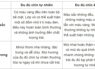 How to Choose Ripe, Delicious and Clean Papaya