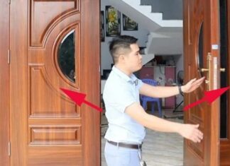 Unlocking Good Fortune: The Ideal Direction for Your Front Door to Welcome Wealth and Prosperity