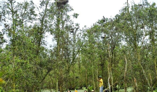 The Ultimate Guide to the Top 5 Must-Visit Destinations in the Mekong Delta During Flood Season, Including a Delicious Local Specialty that Will Leave You Craving for More.